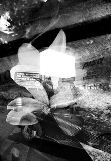 eeditions_prulhiecre_busc-003